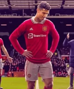 Man Utd Paint By Numbers