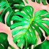 Monstera Green Leaves Paint By Numbers