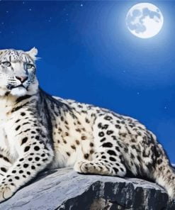 Moon Snow leopard paint by numbers