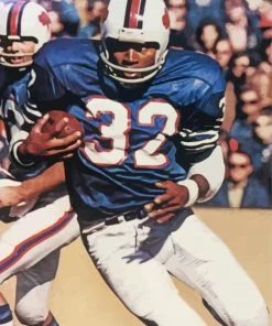O J Simpson Paint By Number