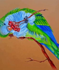 Quaker Parrot Bird Art Paint By Number