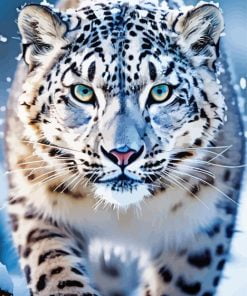 Snow Leopard Paint By Numbers