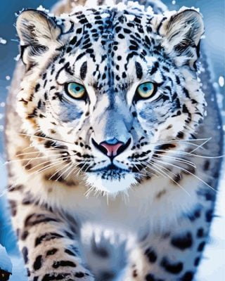 Snow Leopard Paint By Numbers
