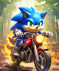 Sonic On A Bike paint by numbers