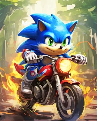 Sonic On A Bike paint by numbers