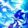 Sonic Surfing paint by number