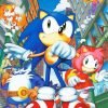Sonic The Hedgehog Cartoon paint by number
