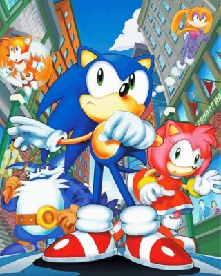 Sonic The Hedgehog Cartoon paint by number