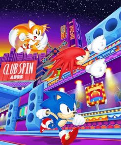 Sonic The Hedgehog Video Game paint by numbers