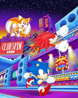 Sonic The Hedgehog Video Game paint by numbers