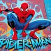 Spider Man Graffiti paint by numbers
