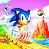 Super Sonic paint by numbers