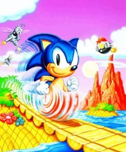 Super Sonic paint by numbers