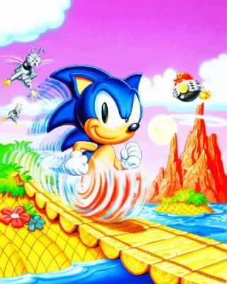 Super Sonic paint by numbers
