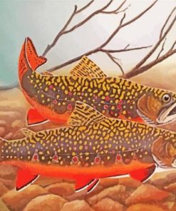The Brook Trout Fish Paint By Numbers