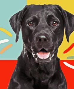 Black Labrador Retriever Paint By Number