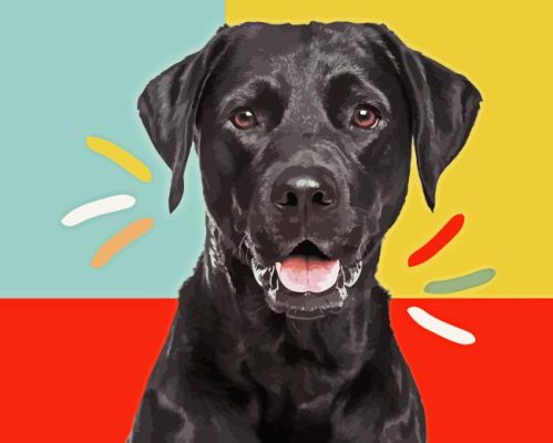 Black Labrador Retriever Paint By Number