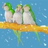 Three Quaker Parrots Paint By Number