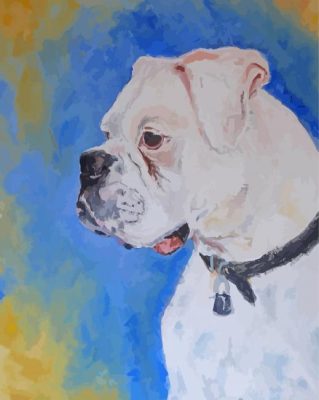 White Boxer Animal Paint By Number