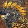 Black Cockatoo Bird Paint By Number
