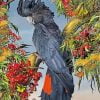 Aesthetic Black Cockatoo Bird Paint By Number