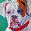 Aesthetic White Boxer Paint By Number