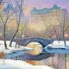Aesthetic Winter Central Park Paint By Number