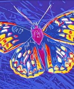 Andy Warhol Butterfly Paint By Number