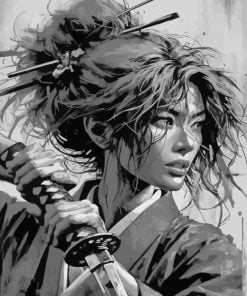 Asian Warrior Girl Paint By Numbers
