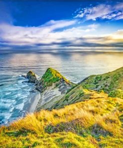 Auckland Landscape Paint By Number