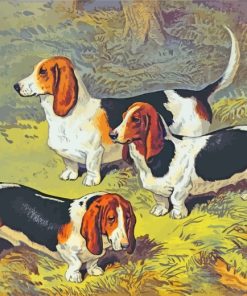 Basset At The Beach Paint By Number