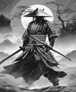 Black And White Samurai Paint By Number