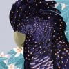 Black Cockatoo Illustration Paint By Number