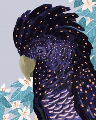 Black Cockatoo Illustration Paint By Number