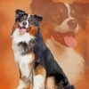 Australian Shepherd Art Paint By Number