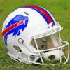 Buffalo Bills Helmet Paint By Number