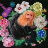 Capuchin Monkey And Flowers Paint By Number