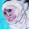 Capuchin Monkey Art Paint By Number
