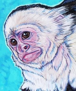 Capuchin Monkey Art Paint By Number