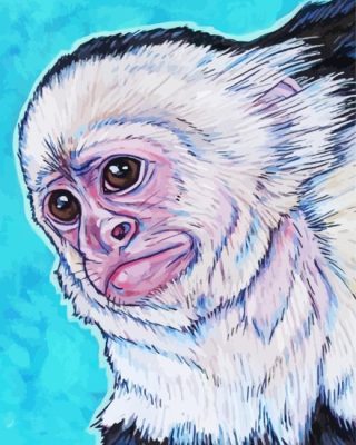Capuchin Monkey Art Paint By Number