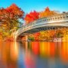 Central Park Autumn Paint By Number