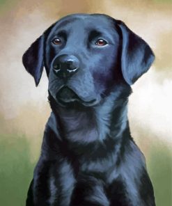 Black Labrador Art Paint By Number
