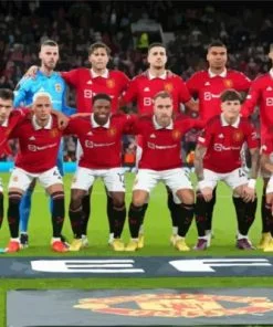 Manchester United Team paint by numbers