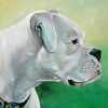 Cool White Boxer Paint By Number