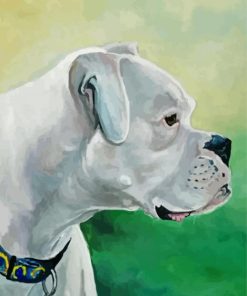 Cool White Boxer Paint By Number