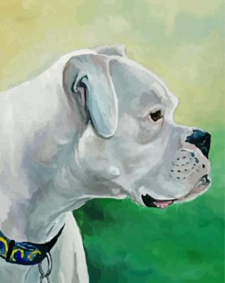 Cool White Boxer Paint By Number
