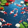 fishpond And Lotus flowers paint by number