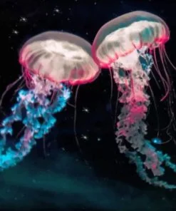 Galaxy Jellyfishes Paint By Numbers