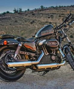 Harley Davidson Forty Eight Paint By Numbers
