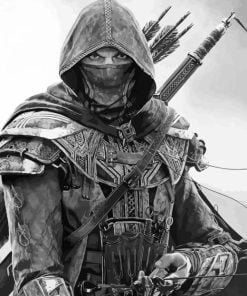 Masked Warrior Paint By Number